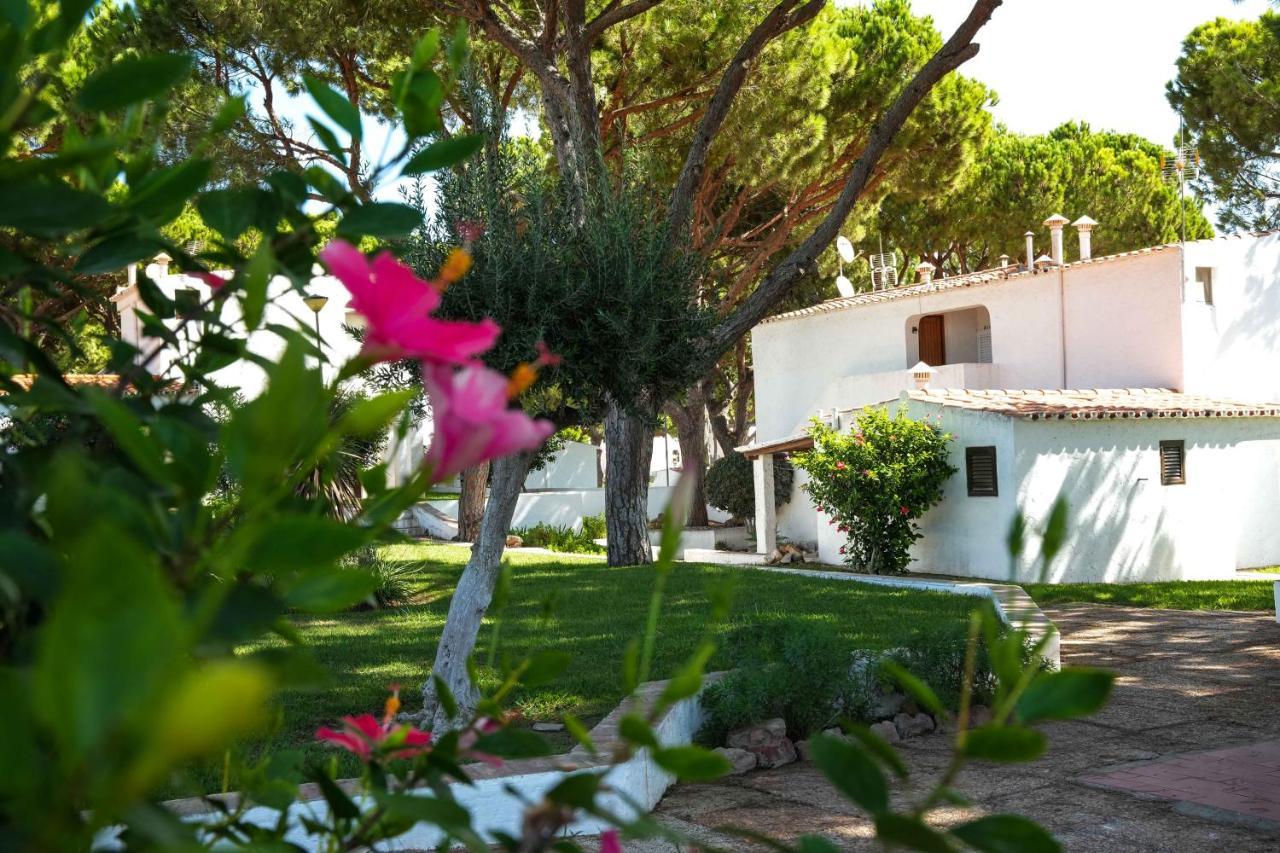 Acoteias 203 Appartement