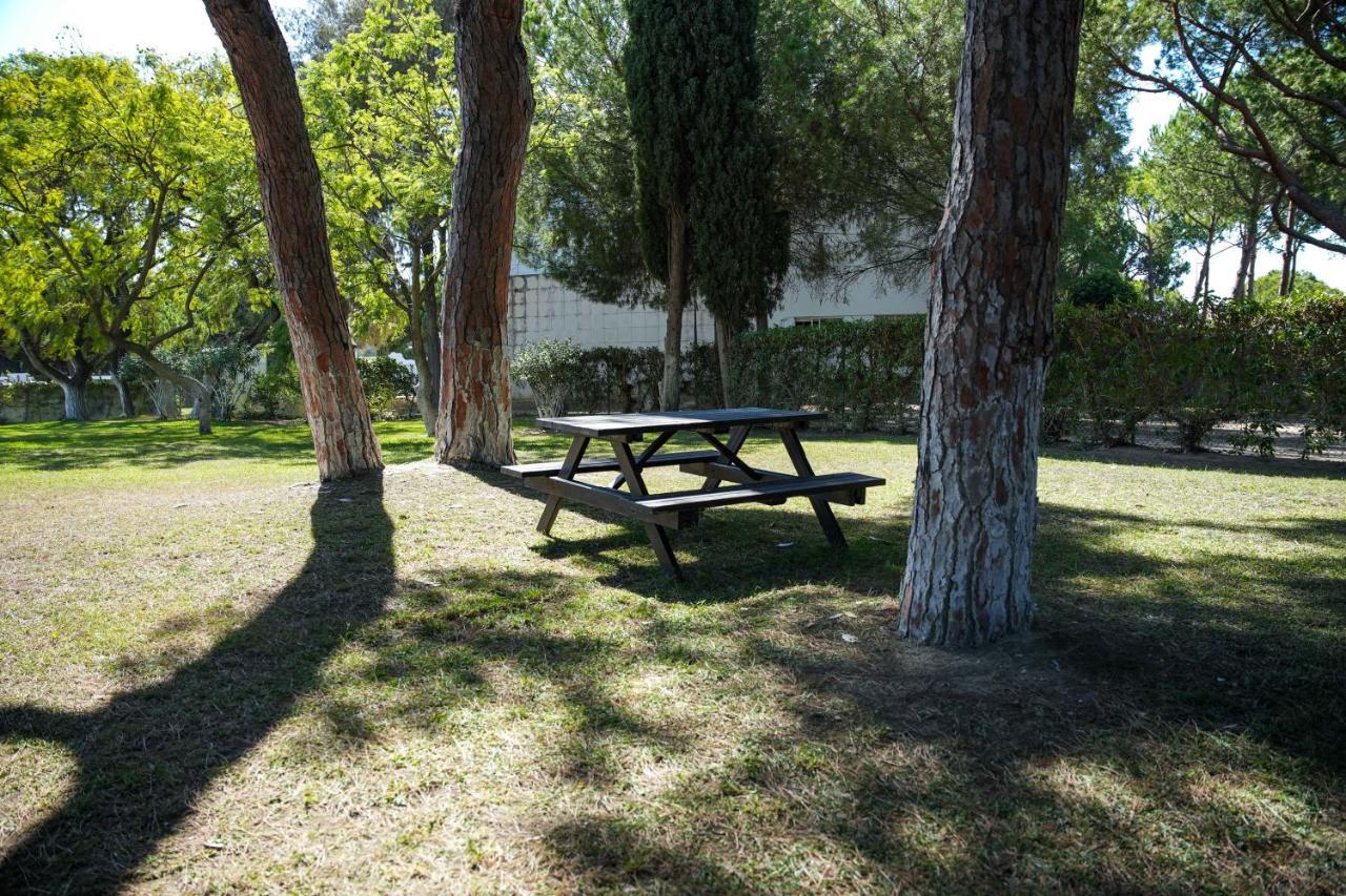Appartement Acoteias 203